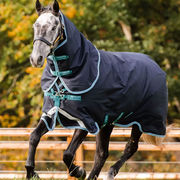 AMIGO BRAVO 12 PLUS 250GR NAVY/ACQUA COPERTA DA PADDOCK IMPERMEABILE E TRASPIRANTE AMIGO BRAVO 12 PLUS 250GR NAVY/ACQUA COPERTA DA PADDOCK IMPERMEABILE E TRASPIRANTE