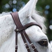 BRIDLE WITH RUBBER REINS BROWN ANTARÈS SELLIER BRIDLE WITH RUBBER REINS BROWN ANTARÈS SELLIER