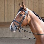 BRIDLE WITH RUBBER REINS NERO ANTARÈS SELLIER BRIDLE WITH RUBBER REINS NERO ANTARÈS SELLIER
