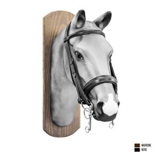 Equestro, Selle dressage cavallo