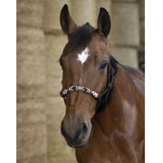 CAPEZZA ETOLOGICA PEARL ETHOLOGICAL NERO CAPEZZA ETOLOGICA PEARL ETHOLOGICAL NERO