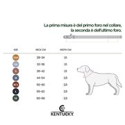 GUINZAGLIO PER CANE IN PELLE E VELLUTO KENTUCKY 2017185325253