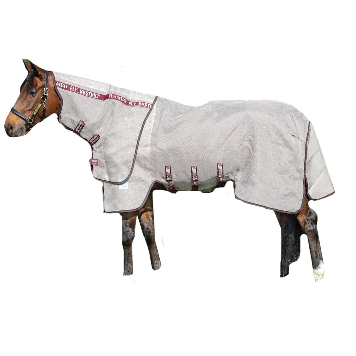 HORSEWARE COPERTA ANTI INSETTO RAMBO FLYBUSTER VAMOOSE