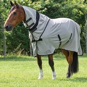 COPERTA DA PADDOCK LEMONFLY EQUILINE CON COLLO STACCABILE COPERTA DA PADDOCK LEMONFLY EQUILINE CON COLLO STACCABILE