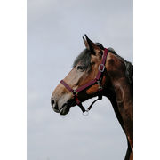 CUSHING NYLON HEADCOLLAR RIDING WORLD BURGUNDY CUSHING NYLON HEADCOLLAR RIDING WORLD BURGUNDY
