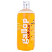GALLOP COLOUR SHAMPOO CHESTNUT & PALOMINO 500ML. GALLOP COLOUR SHAMPOO CHESTNUT & PALOMINO 500ML.