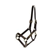 HALTER ARTIFICIAL LEATHER WELLINGTON BROWN HALTER ARTIFICIAL LEATHER WELLINGTON BROWN