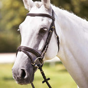 LEATHER BRIDLE WITH SHAPED BROWBAND AND SYNTHETIC REINS LEATHER BRIDLE WITH SHAPED BROWBAND AND SYNTHETIC REINS
