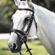 LEATHER BRIDLE WITH SHAPED BROWBAND AND SYNTHETIC REINS LEATHER BRIDLE WITH SHAPED BROWBAND AND SYNTHETIC REINS