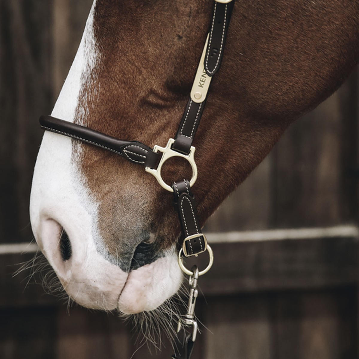 KENTUCKY LEATHER GROOMING HALTER COL.BROWN