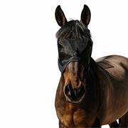 MASCHERA ANTIMOSCHE/UV MESH SENZA ORECCHIE EQUITHEME MASCHERA ANTIMOSCHE/UV MESH SENZA ORECCHIE EQUITHEME