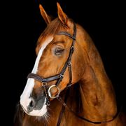 MICKLEM COMPETITION BRIDLE HORSEWARE MICKLEM COMPETITION BRIDLE HORSEWARE