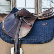 Capezza cavallo in velluto HW 2023 nero