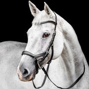 TESTIERA MICKLEM COMPETITION HORSEWARE TESTIERA MICKLEM COMPETITION HORSEWARE