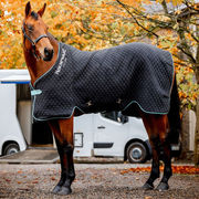 Shop online HORSE HORSEWARE RUGS STABLE RUG - last collections on  Mascheroni Selleria